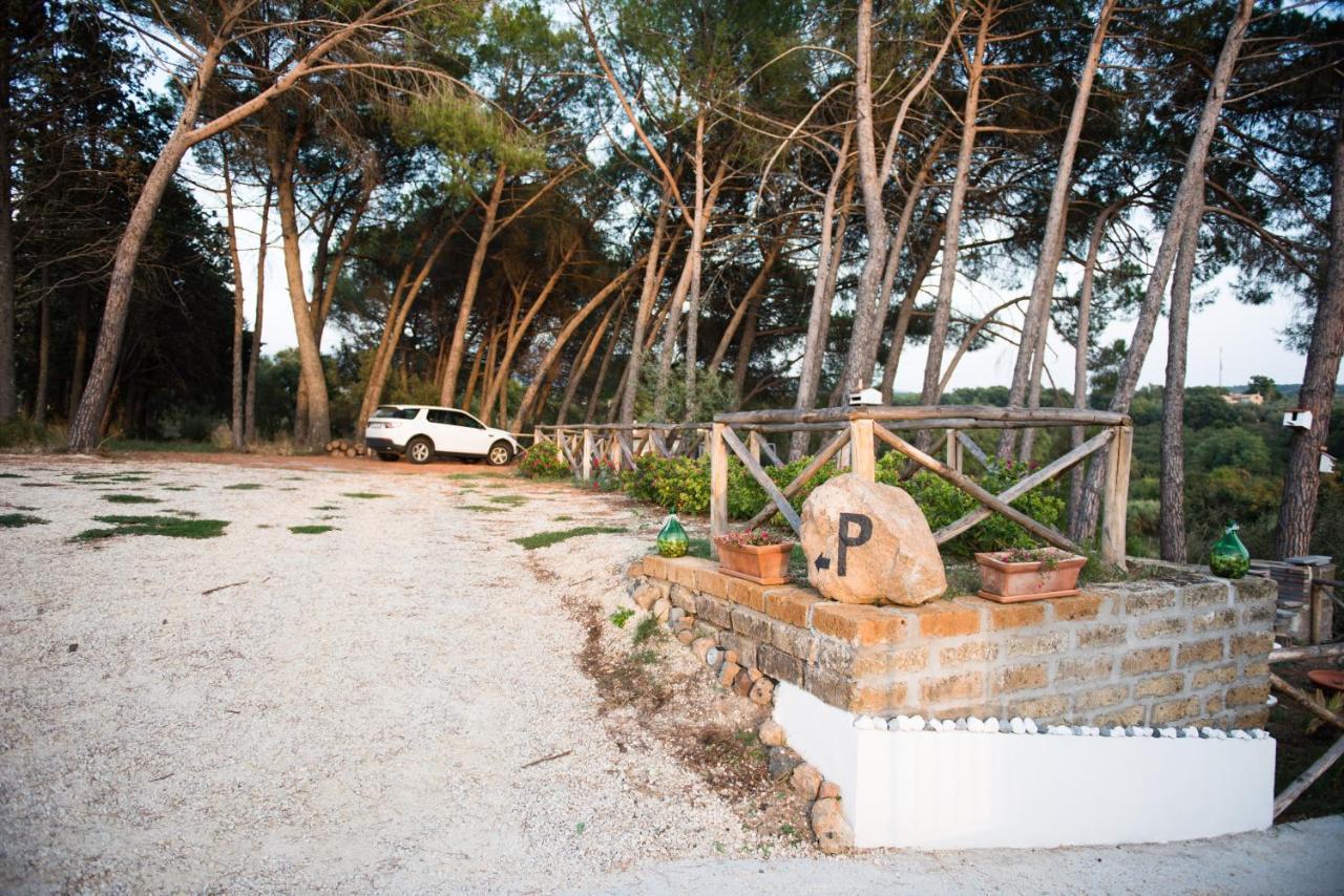 Le Terrazze Di Casa Bonelli Bed & Breakfast Vetralla Exterior foto
